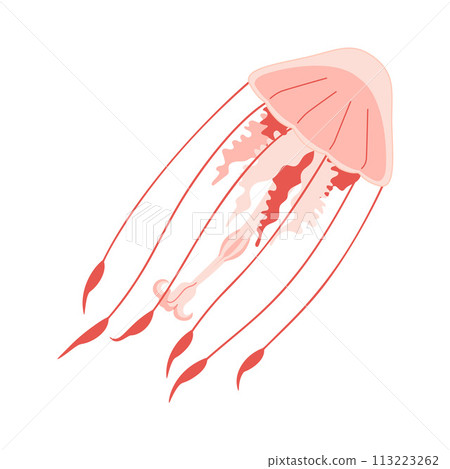 Cartoon Pink jellyfish trendy flat style. Vector illustration medusa. Cartoon Pink jellyfish trendy flat style. Vector illustration medusa. 113223262
