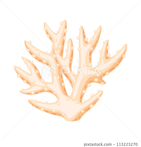 Illustration of sea coral. Marine life aquarium and water fauna. 113223270