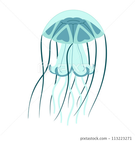 Cartoon jellyfish trendy flat style. Vector illustration jellyfish isolated on white 113223271