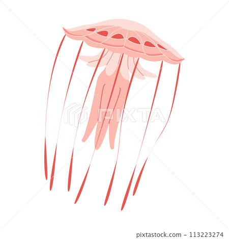 Cartoon Pink jellyfish trendy flat style. Vector illustration medusa. Cartoon Pink jellyfish trendy flat style. Vector illustration medusa. 113223274