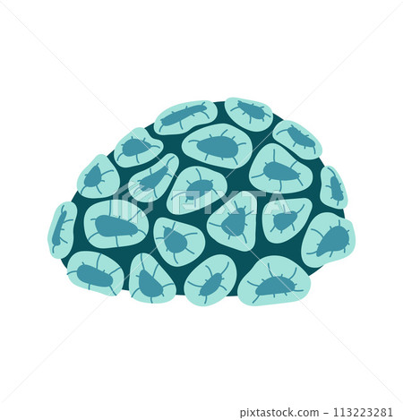 Palythoa coral polyps Hand drawn exotic coral reef underwater nature life flat style Palythoa coral polyps Hand drawn exotic coral reef underwater nature life flat style 113223281
