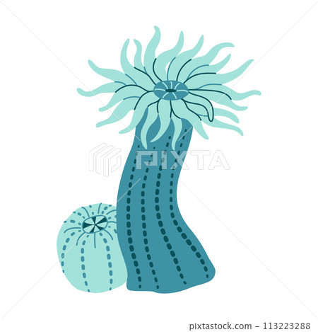 Sea anemones hand drawn. Sea wildlife. Actiniaria Sea anemones hand drawn. Sea wildlife. Actiniaria 113223288
