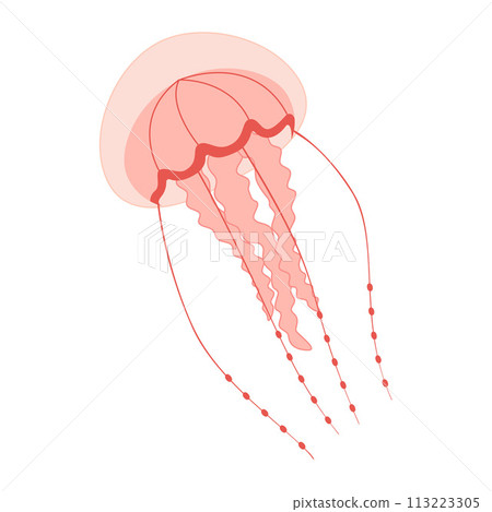 Cartoon Pink jellyfish trendy flat style. Vector illustration medusa. 113223305