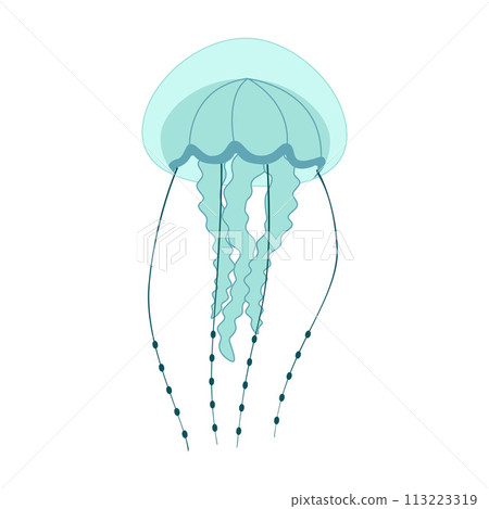 Cartoon jellyfish trendy flat style. Vector illustration jellyfish isolated on white 113223319