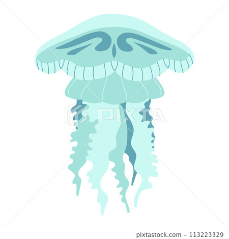 Cartoon jellyfish trendy flat style. Vector illustration jellyfish isolated on white 113223329