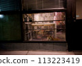A window 113223419