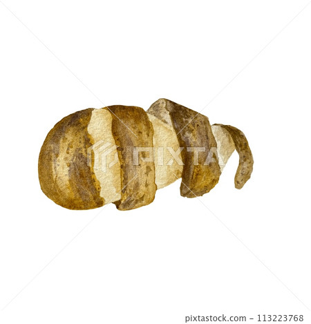 Potato spiral brown peel fresh watercolor sketch Potato spiral brown peel fresh watercolor sketch 113223768