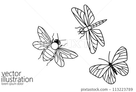Line art butterfly bee and dragonfly. Nature beauty organic cosmetics concept. Ecology environment solution silhouette design. One sketch outline drawing vector illustration Line art butterfly bee and dragonfly. Nature beauty organic cosmetics concept. Ecology environment solution silhouette design. One sketch outline drawing vector illustration 113223789