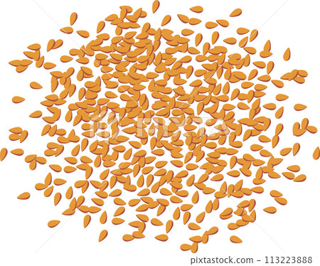Sesame (roasted sesame) 113223888