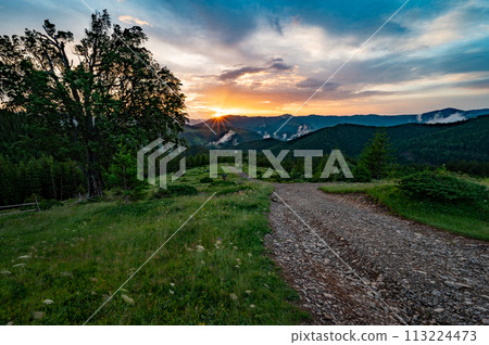 Magical dawn in the Carpathians, a road for tourists in the foreground. 113224473