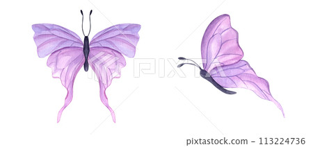 Fluttering pink butterflies. Set of abstract watercolor tropical insect. Hand drawn illustration. For textile, wedding invitation, banner design 113224736