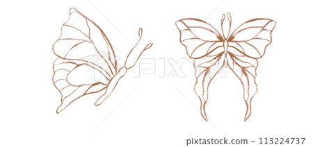 Golden doodle butterflies. Set of abstract watercolor tropical insects. Line art, flat. Hand drawn illustration for textile, wedding invitation, banner design 113224737
