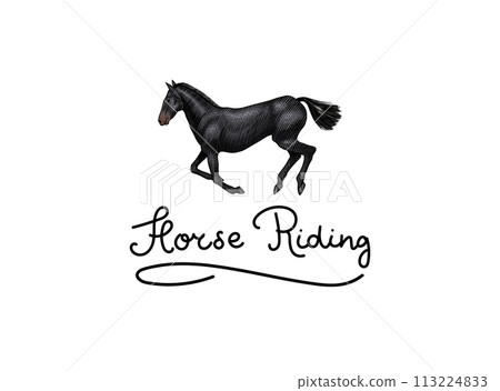 A Set Of Horses In Different Poses On A White Background. Hand drawn animal logo. Woodcut outline 113224833