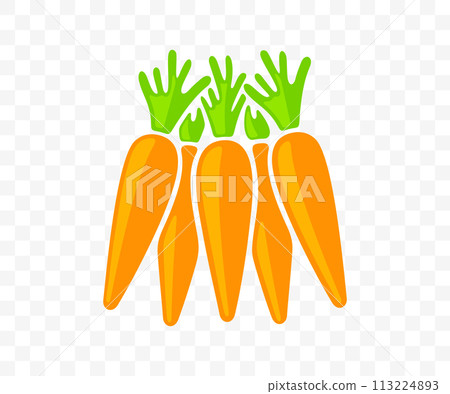 Carrots, vegetable, agriculture, food and meal, graphic design. Harvest, plant, nature, leaf, leaves, nourishment and grocery, vector design and illustration 113224893