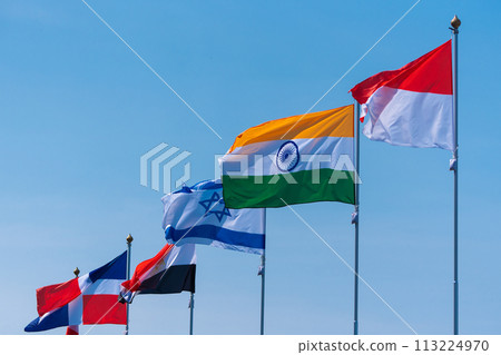 Flags against the blue sky. 113224970