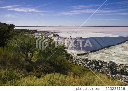 Trucks unloading raw salt bulk, Salinas Grandes de Hidalgo, La Pampa, Argentina. Trucks unloading raw salt bulk, Salinas Grandes de Hidalgo, La Pampa, Argentina. 113225116