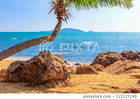 View of the shore of the South China Sea with a sandy beach, large rocks and green palm. Sanya China View of the shore of the South China Sea with a sandy beach, large rocks and green palm. Sanya China 113225149