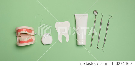 Model of human teeth, tube with toothpaste, dental floss and medical mirror on a green background Model of human teeth, tube with toothpaste, dental floss and medical mirror on a green background 113225169