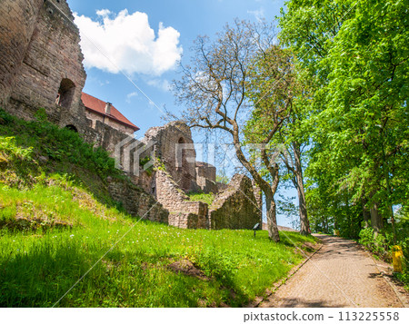 A scenic pathway leads to the entrance of the historic Pecka Castle, flanked by ancient walls and vibrant green foliage under a clear blue sky. Czechia 113225558