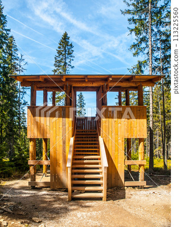 New wooden wildlife observation post in the forest 113225560
