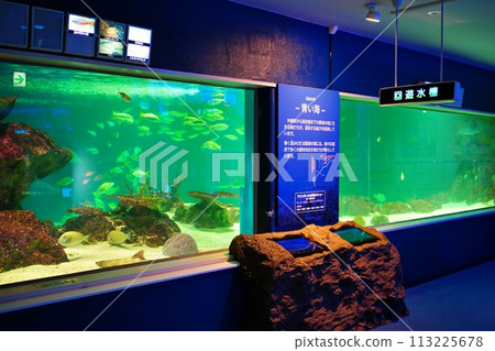 Sunpiazza水族館風景 Sunpiazza水族館風景 113225678