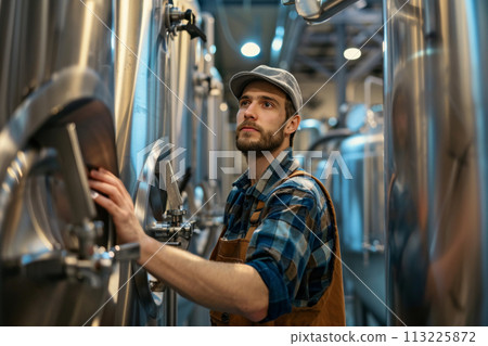 Brewmaster Inspecting Brewery Equipment 113225872