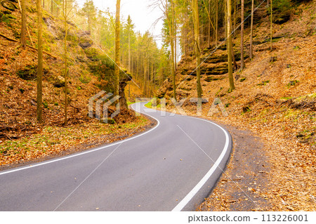 A winding road curves through a dense forest, surrounded by tall trees and lush plant life. The asphalt road surface contrasts with the natural landscape, creating a picturesque scene in the wood 113226001