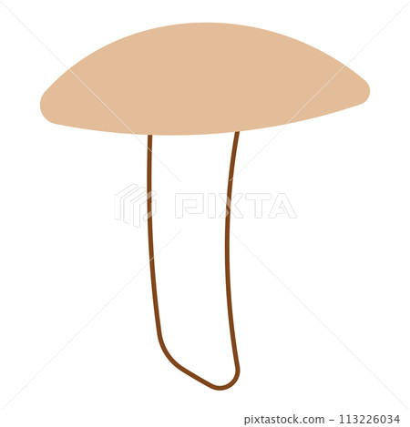 mushroom autumn forest colored line doodle element 113226034