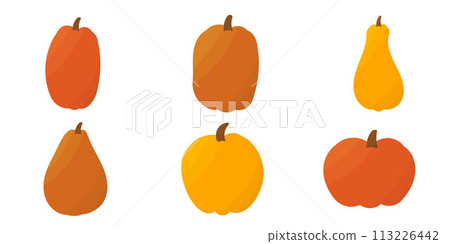 pumpkins colored autumn food set garden elements 113226442