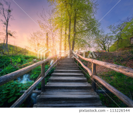 Wooden stairs in forest at sunset in spring. Plitvice Lakes 113226544