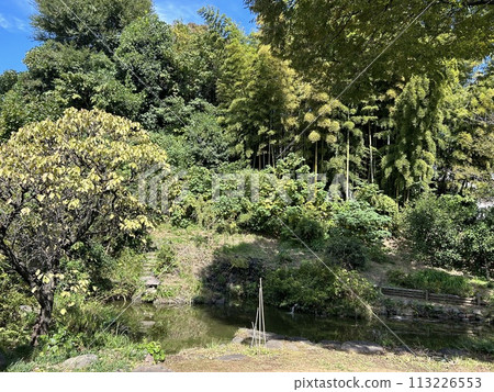 This is a small mountain with a pond and trees behind Nichirinji, a Soto sect temple in Bunkyo Ward, Tokyo. This is a small mountain with a pond and trees behind Nichirinji, a Soto sect temple in Bunkyo Ward, Tokyo. 113226553