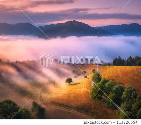 Aerial view of alpine meadows and mountains in low pink clouds at colorful sunrise 113226554