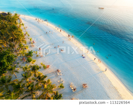 Aerial view of green palm trees, umbrellas, sandy beach, sea Aerial view of green palm trees, umbrellas, sandy beach, sea 113226564