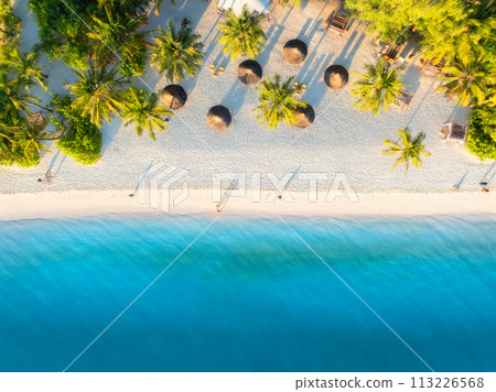 Aerial view of green palm trees, umbrellas, sandy beach, sea Aerial view of green palm trees, umbrellas, sandy beach, sea 113226568