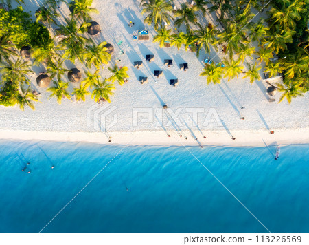Aerial view of green palm trees, umbrellas, sandy beach, sea Aerial view of green palm trees, umbrellas, sandy beach, sea 113226569