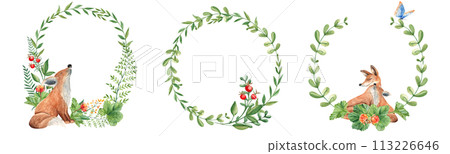 Set of woodland watercolor wreaths with baby and mother fox animal, green branches and leaves, fern, cloudberry and red berries. Floral illustration for nursery, greeting cards, invitations, save the 113226646
