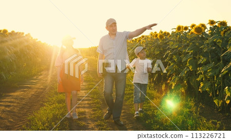 Family father kid child walking sunflower field pointing on yellow flowers sunset sun light. Man with daughter son going surrounded by agriculture harvest floral plant meadow natural sunlight child Family father kid child walking sunflower field pointing on yellow flowers sunset sun light. Man with daughter son going surrounded by agriculture harvest floral plant meadow natural sunlight child 113226721