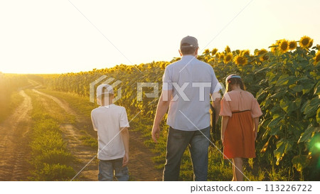 Father with child kid son daughter walking road at sunflower field enjoy weekend sunset sunrise back view closeup. Happy family relaxing outdoor spending time together countryside yellow flower meadow 113226722