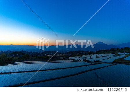 [初夏材料]黎明時分的中野梯田[山梨縣] 113226743