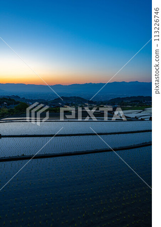[Early Summer Material] Nakano Terraced Rice Fields at Dawn [Yamanashi Prefecture] 113226746