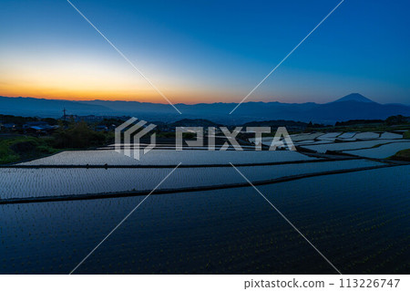 [初夏材料]黎明時分的中野梯田[山梨縣] 113226747