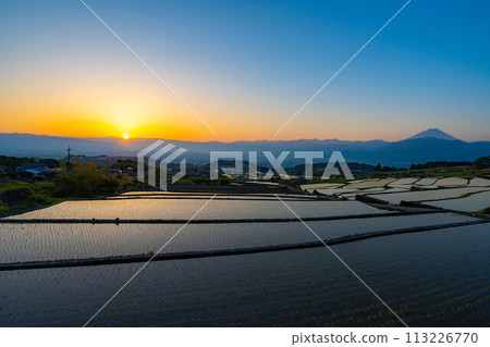 [Early Summer Material] Nakano Terraced Rice Fields at Dawn [Yamanashi Prefecture] 113226770
