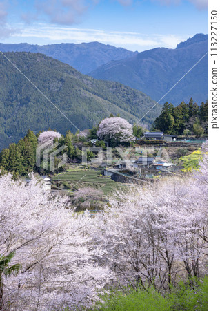 View from Hyotan Sakura Park View from Hyotan Sakura Park 113227150