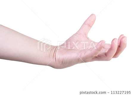 hand on isolated background clipping path hand on isolated background clipping path 113227195