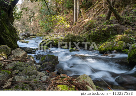 The clear Kibune River in Rakuhoku, Kyoto The clear Kibune River in Rakuhoku, Kyoto 113227588