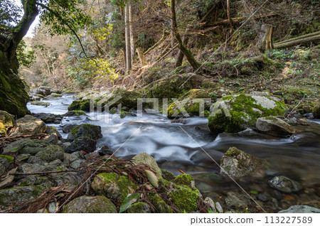 京都府洛北清澈的貴船川〉 京都府洛北清澈的貴船川〉 113227589