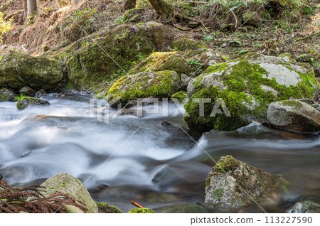 京都府洛北清澈的貴船川〉 113227590