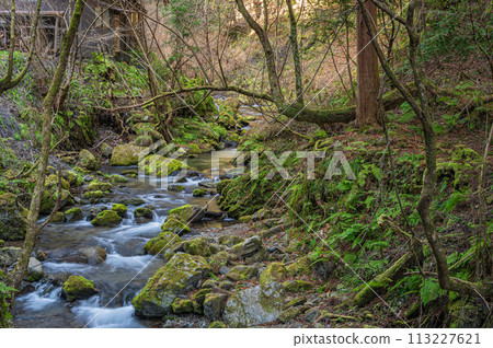 The clear Kibune River in Rakuhoku, Kyoto　 113227621