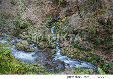 The clear Kibune River in Rakuhoku, Kyoto The clear Kibune River in Rakuhoku, Kyoto 113227629