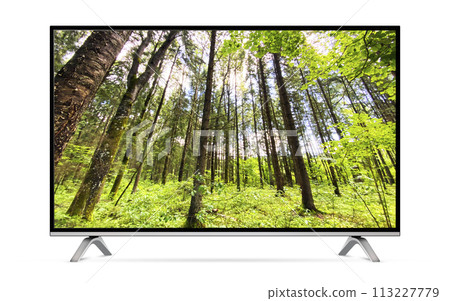 Modern tv with forest on screen Modern tv with forest on screen 113227779